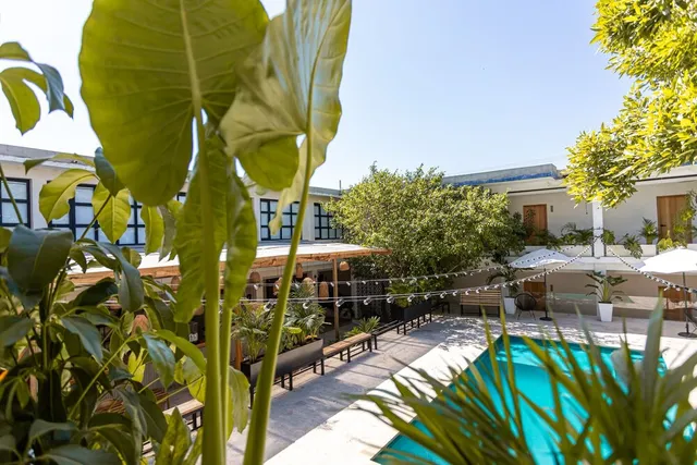 Soy Local Santa Marta