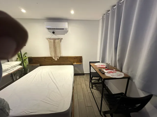 Tubarão Baleia - Studios de Temporada