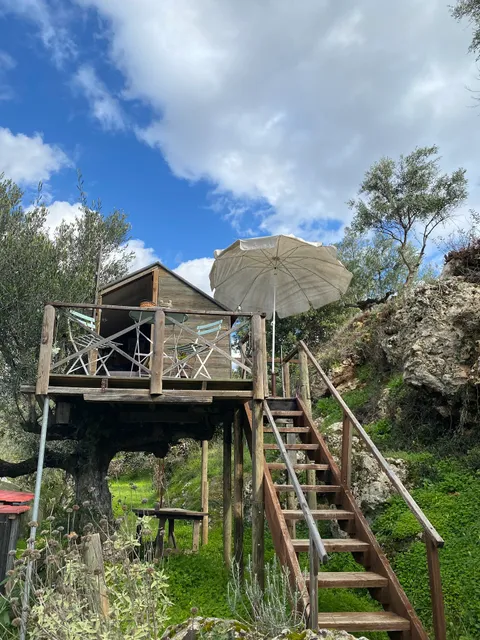 Ta xelidonia, the swallows