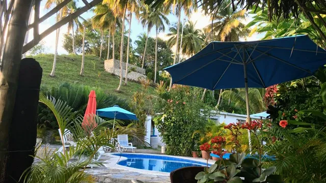 Trade Winds Vacation Rentals