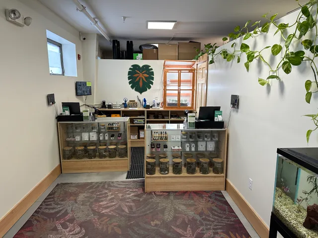 The Hidden Grove Cannabis Dispensary