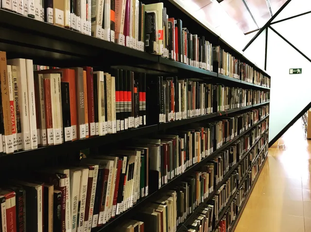 RAFAEL ALBERTI Public Library