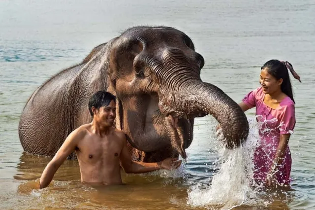 Manifa Elephant Camp Luang Prabang Office