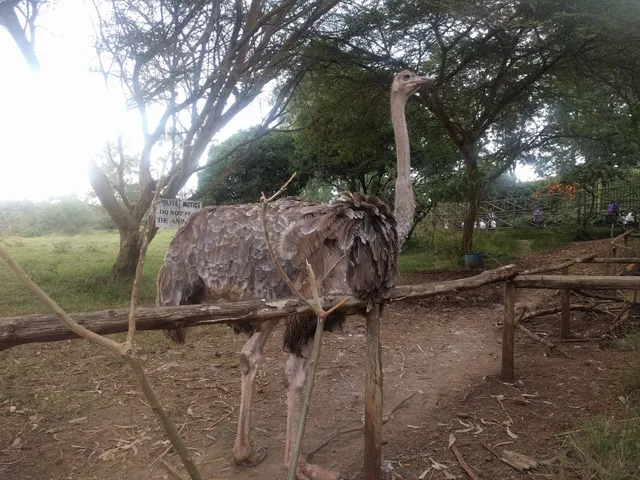Nairobi Mamba Village