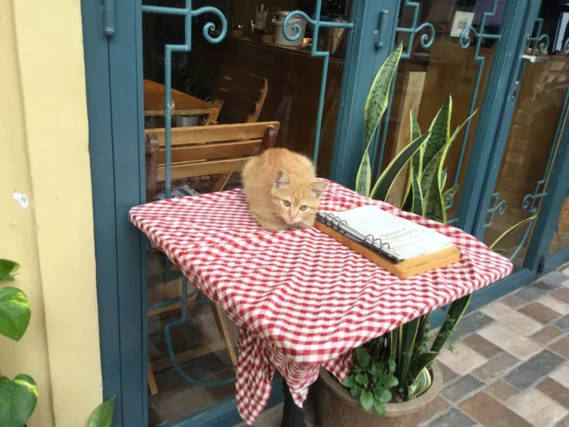 Hestia Dalat - Cafe & Pizzeria