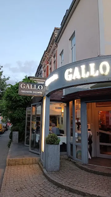 Gallo