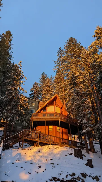Tree House Lodge