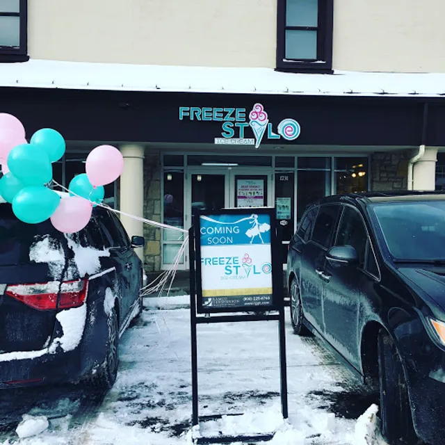 Freeze Style Ice Cream