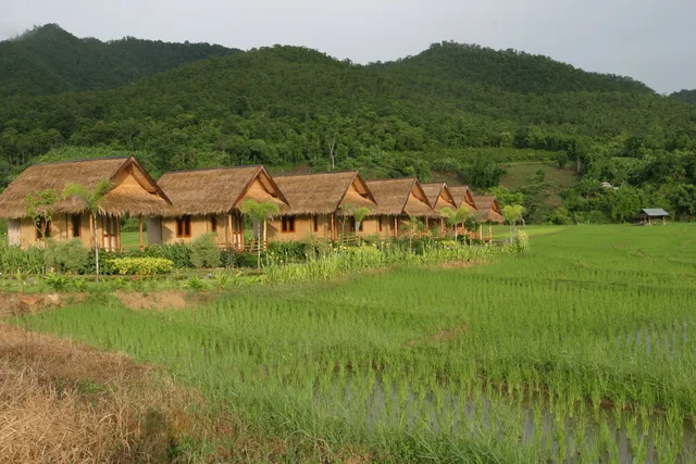 Paiklangna Cottage ปายกลางนา รีสอร์ท