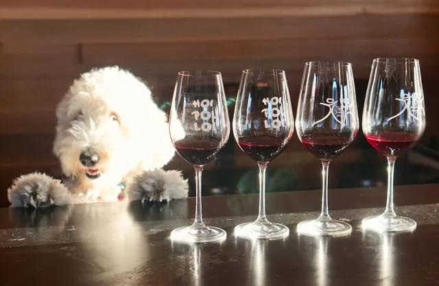 Double Trouble Wine Room