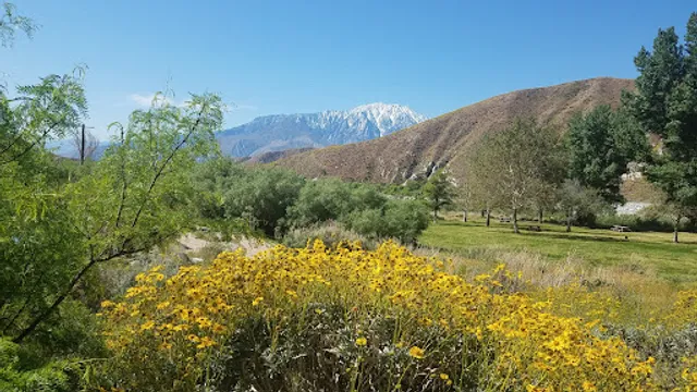The Wildlands Conservancy Whitewater Preserve
