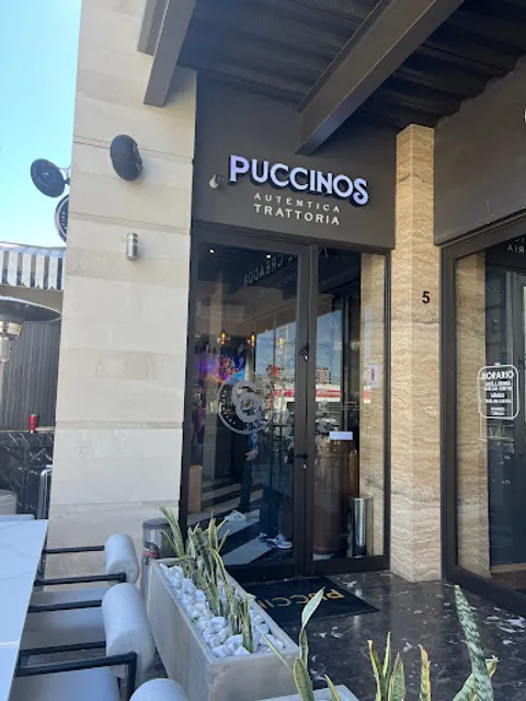 Puccinos
