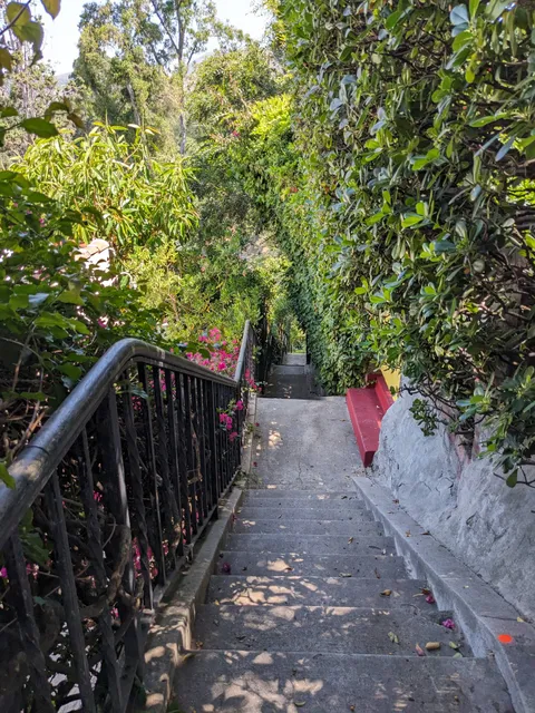 Whitley Terrace Steps