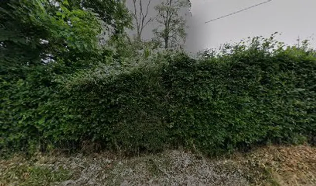 The Beeches Restaurant