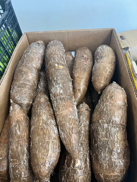 Northern Lights Center