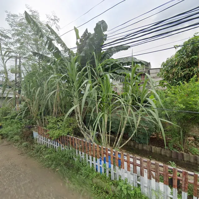 Nasi Bebek Madura Gurih