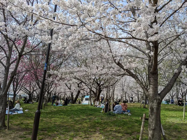 Osaka park - Kemasakuranomiya Park