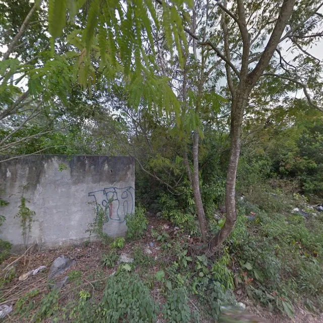 El Morelense Cecina de Yecapixtla