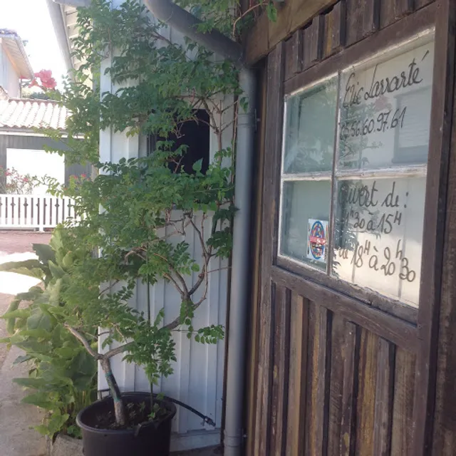 La Vie Sauvage Dégustation, Huîtres ERIC LARRARTE, Dégustation La Vie Sauvage