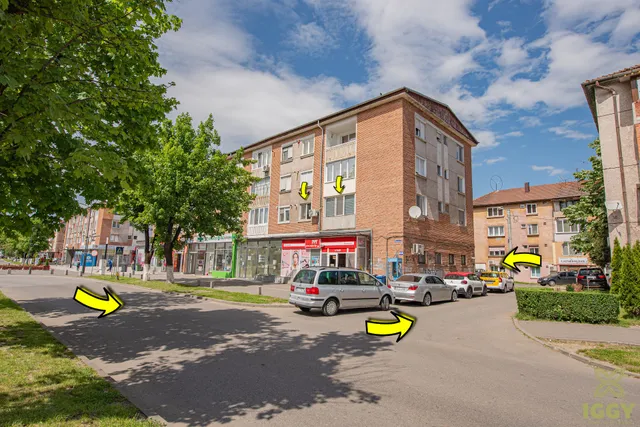 Iggy Luxury Apartment Hunedoara