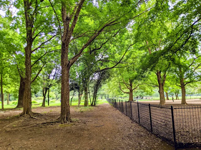 Yoyogi Park Dog Run