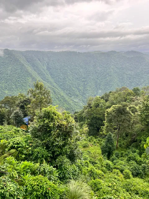 PEACE HILL (HILL STATION CAMPSITE)