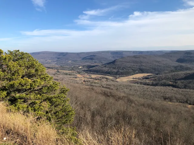 Ozark–St. Francis National Forest