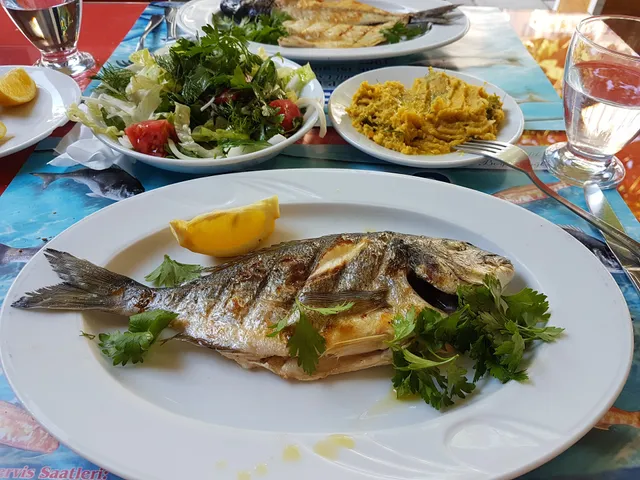 Metro Balik Pisiricisi