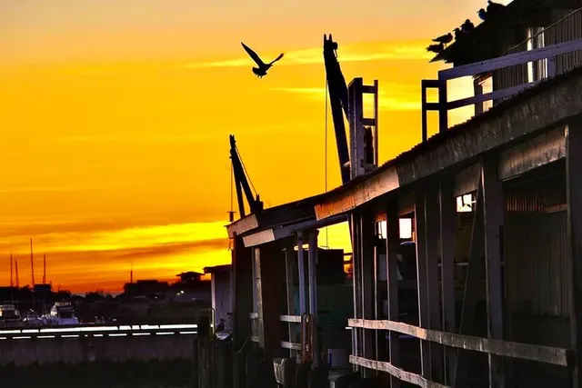 Blaine Chamber of Commerce