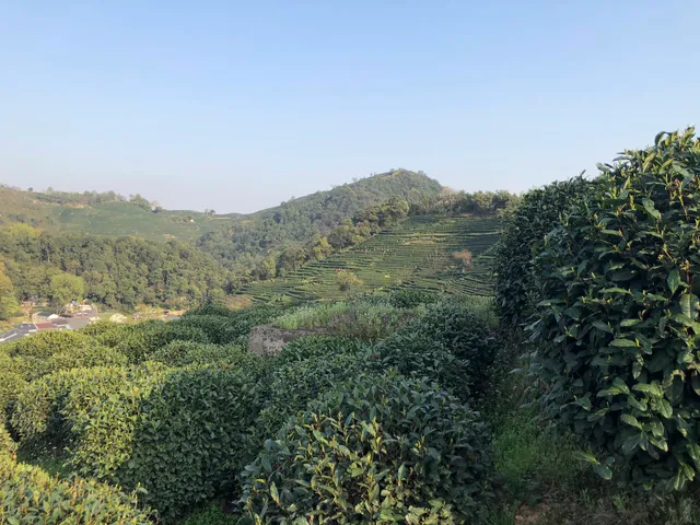 Hangzhou Longjingshan Park