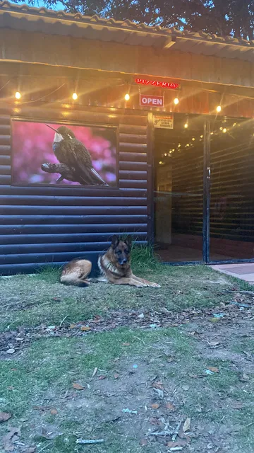 Pizzería los Colibríes.