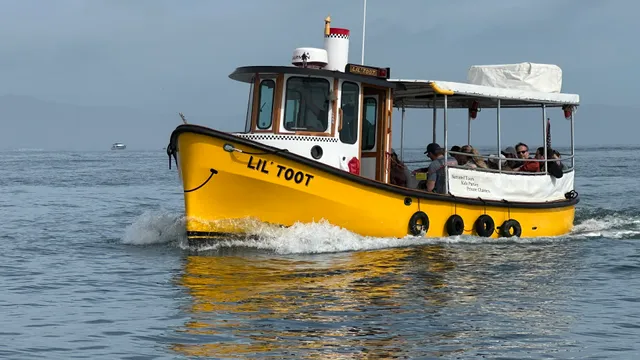 Lil' Toot Santa Barbara