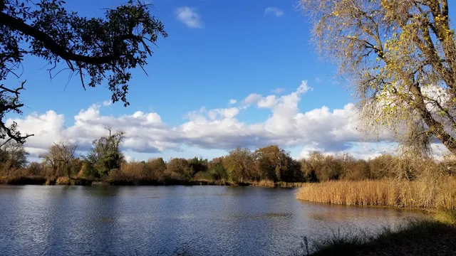 Lodi Lake