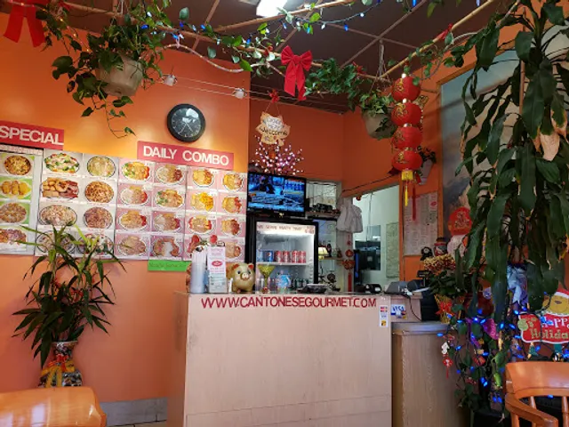 Cantonese Gourmet Chinese Food