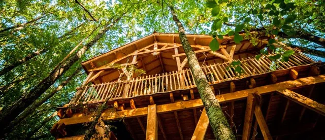 D'Emilion de Sens - Cabanes perchées avec Spa