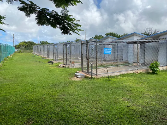 GAIN Animal Shelter / Guam Animals In Need