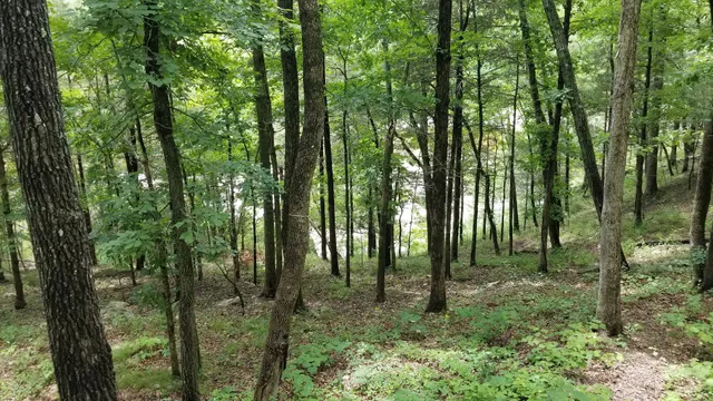 Buffalo Point Campground, A Loop