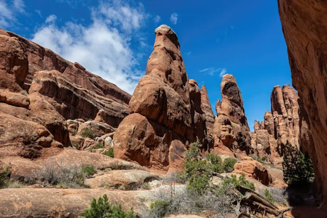 Fiery Furnace