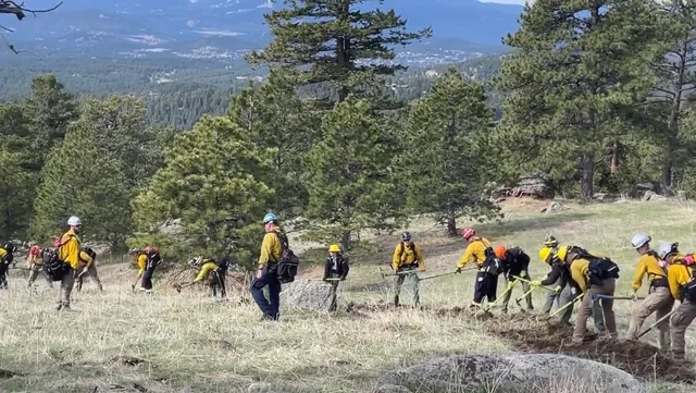Genesee Park Mountain Shelter