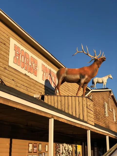 Cavender's Horsetown West