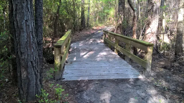 Turkey Creek Trail (FM 1943 Trailhead)