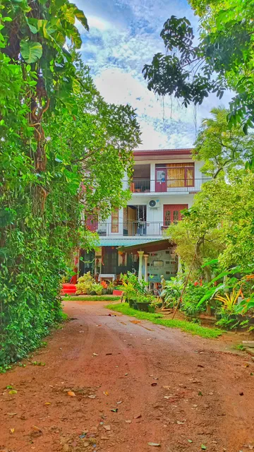 Little Swan Guest house