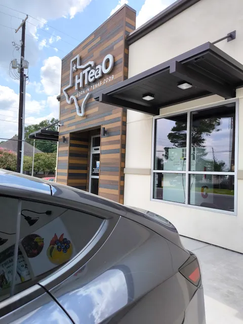 HTeaO - Lafayette (Kaliste Saloom & Camellia)