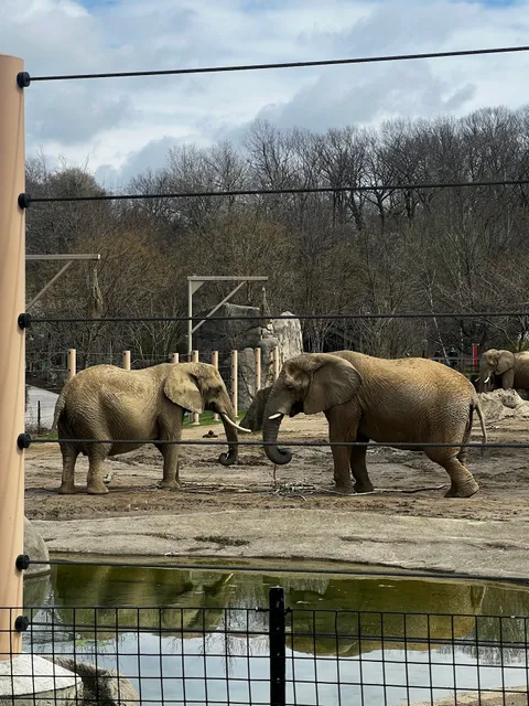 Cleveland Zoological Society