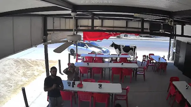 Taquería La Vaca Chenta