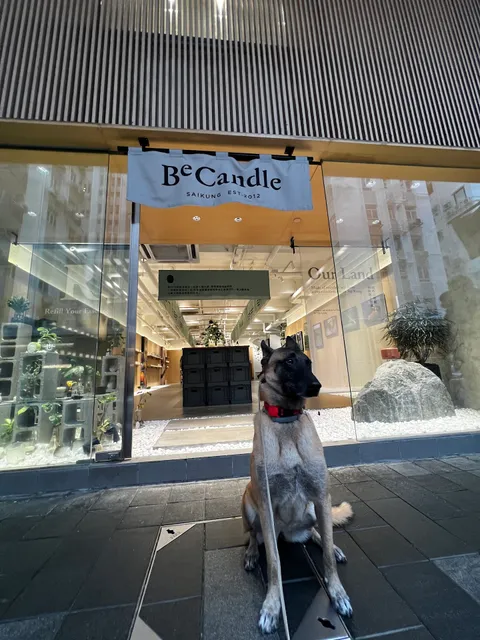 Fashion Walk 9 Kingston