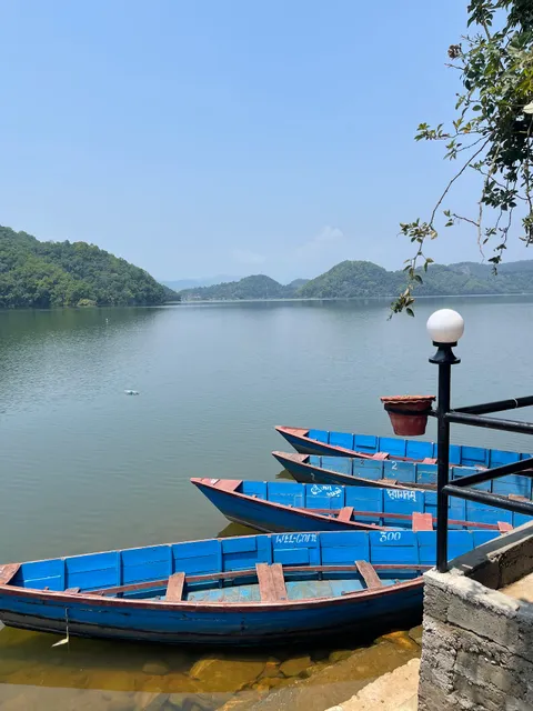 Mountain View Eco Farm (MVEF)