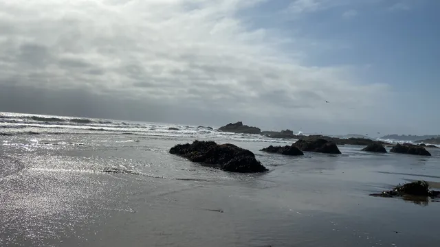 Cabañas Las Terrazas de Cachagua