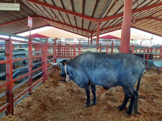 Recinto Ferial de Salamanca