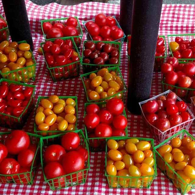 J Defrancesco & Son Inc